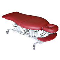 Access with Adjustable Back Rest